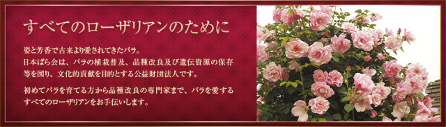 ���ׂẴ��[�U���A���̂��߂�